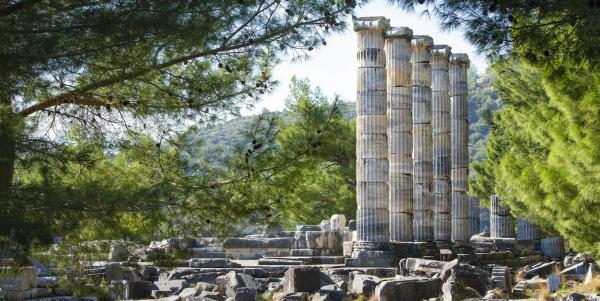 Priene & Miletus & Didyma Turu