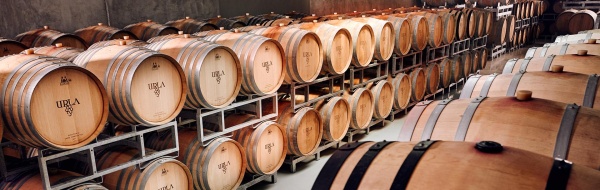 Winter Charms of Izmir: Why You Should Visit Urla and Selçuk in the Off-Season