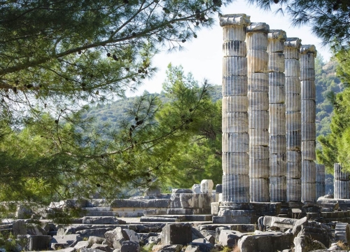 Tour Diario a Priene, Mileto y Dídima desde Esmirna