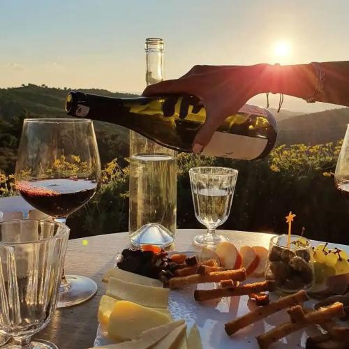 Private - Wine Tour in Urla