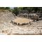 Priene & Miletus & Didyma Turu
